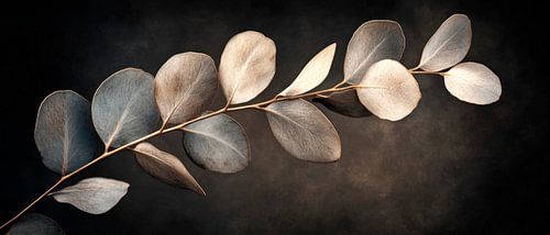 Delicate bladeren in het licht van Poster Art Shop