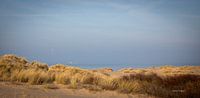 Along the Dutch coast Zeeland in the evening.