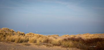Langs de Nederlandse kust Zeeland in de avond. van Foto Nico