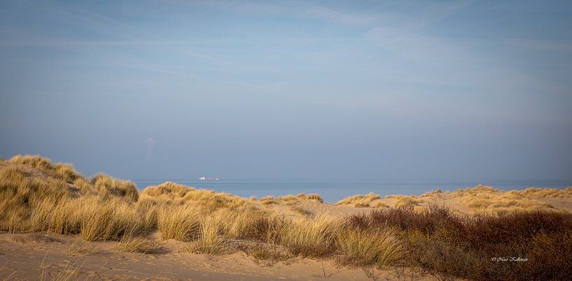 Along the Dutch coast Zeeland in the evening. by Foto Nico
