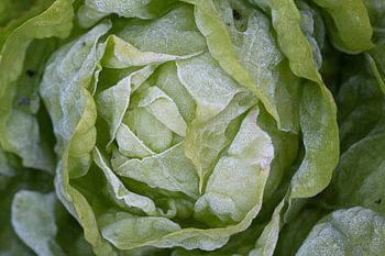 sla met een winters tintje