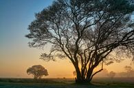 Zonsopkomst op de heide van Ad Jekel thumbnail