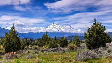 Mt Shasta vulkaan in Californië, VS van Adelheid Smitt