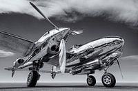 le P38 lightning
