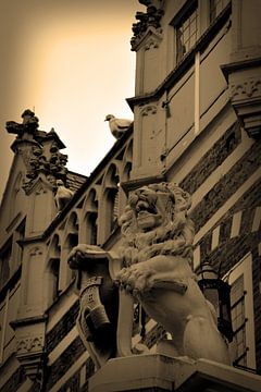 Alkmaar Noord-Holland Binnenstad Sepia Nederland