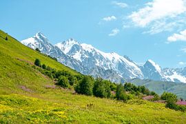 Uitzicht op de Georgische bergtoppen en gletsjers van Leo Schindzielorz