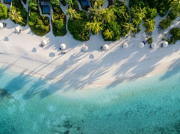 Tropical dream beach by Tilo Grellmann