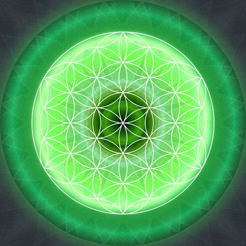 Herzchakra mit Blume des Lebens