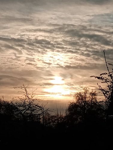 Abendsonne
