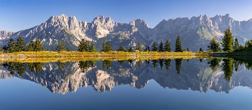 Zomerochtend in het Kaisergebergte in Tirol, Oostenrijk