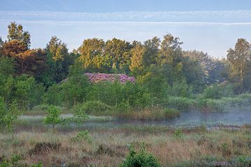 Atmosphärisches Fenster mit Morgenlicht