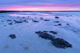 Seaweed and ridges on the mudflats by Anja Brouwer Fotografie
