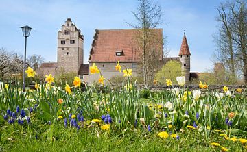 Kasteel in Dinkelsbühl, lentepark van SusaZoom