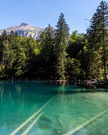 The Blausee in Switzerland by Dayenne van Peperstraten