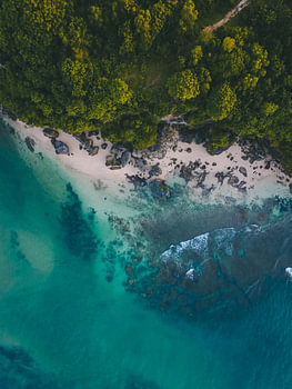 island life