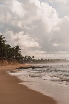 Romantic misty coastal beach with palm trees | Brazil | travel photography by Lisa Bocarren