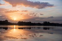 Sunrise Landscotch heathland