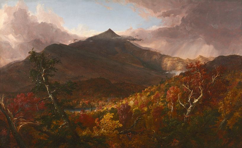 Uitzicht op Schroon Mountain, New York, na een storm, Thomas Cole van Meesterlijcke Meesters
