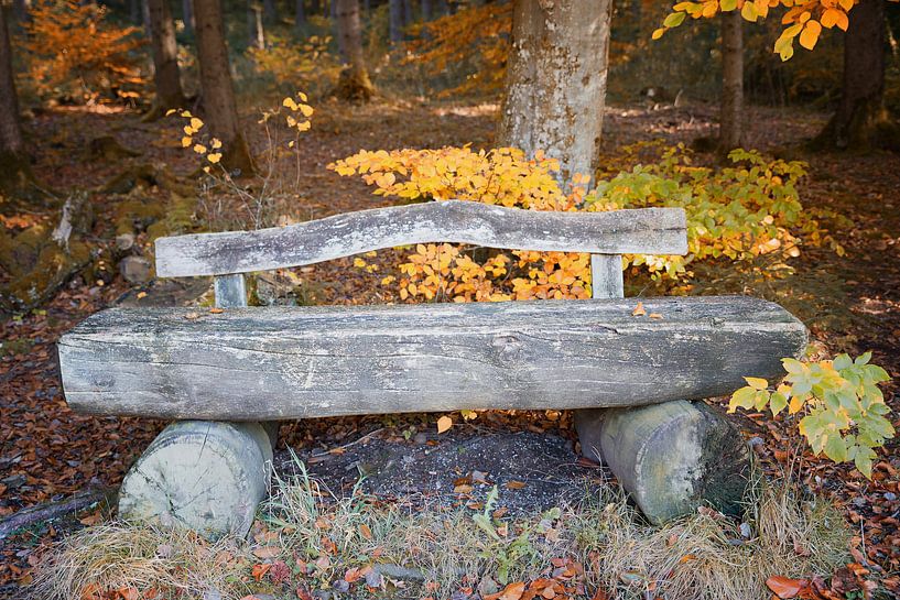 old weathered wooden bench by SusaZoom