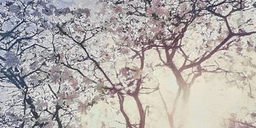Magnolie in der Morgendämmerung des Frühlings - Digitale Kunst von dirkie.art