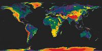 Rainbow world map by Frans Blok thumbnail