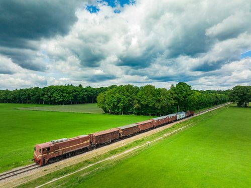 Oude diesel goederentrein op het platteland