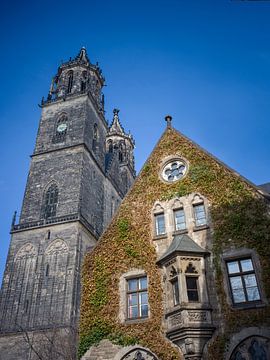 Cathédrale de Magdebourg sur t.ART