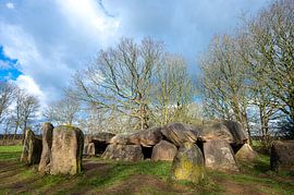 Hunebed D50 in Drenthe