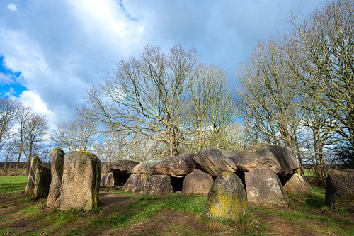 Hunebed D50 in Drenthe