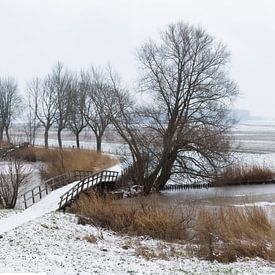 Winter by Wim Verhoeve