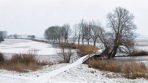 Winter van Wim Verhoeve