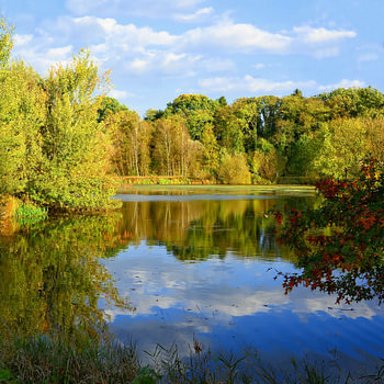 Ein kleiner See im Herbst - der Klostersee in Walsrode