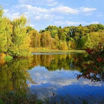 Little lake with autumn foliage van Gisela Scheffbuch