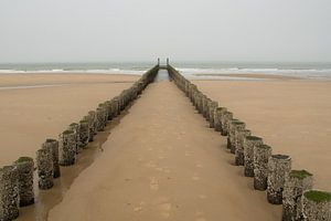 Paalhoofden Domburg