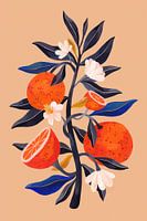 Oranje boom