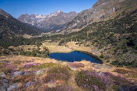 Het rustige Lower Ibon bij Villamuerta in de Spaanse Pyreneeën van PhotoCluster