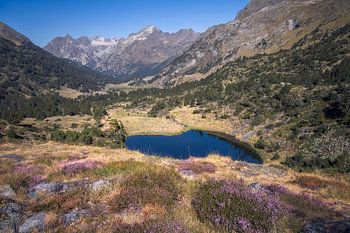 Het rustige Lower Ibon bij Villamuerta in de Spaanse Pyreneeën