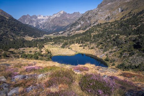 Tranquil Lower Ibon of Villamuerta in Spanish Pyrenees