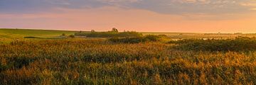 Panoramafoto vom Naturschutzgebiet Leyhorn von Henk Meijer Photography