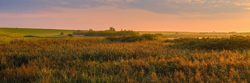 Panoramafoto vom Naturschutzgebiet Leyhorn von Henk Meijer Photography