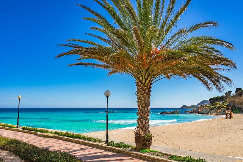 Son Moll in Cala Ratjada, Mallorca eiland van Alex Winter