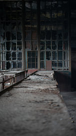 Where the Miners Worked by Roy van Mierlo