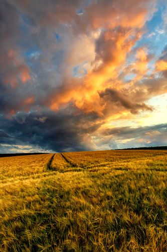 Magic in the air by Hans Vellekoop