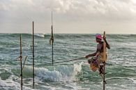 Paalvisser in Sri Lanka van Richard van der Woude thumbnail