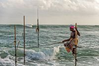 Pole fisherman in Sri Lanka