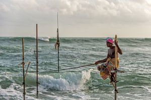 Pole pêcheur au Sri Lanka sur Richard van der Woude