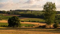 landschap naar de bekende berg de paterberg