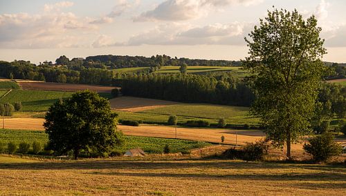 landscape to the famous paterberg mountain
