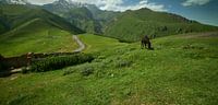 De berg Kazbek of de berg Kazbegi in Stepantsminda, Georgië, bij daglicht