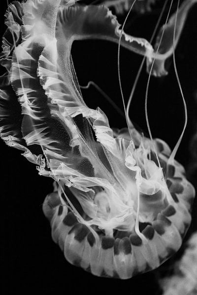 Change of perspective by Dominique Rörtgen Fotografie